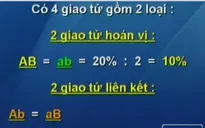 BTKT môn Sinh học: Bài tập về hoán vị gen