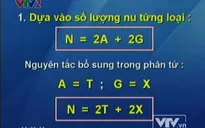 BTKT môn Sinh học: Bài tập về cấu trúc ADN