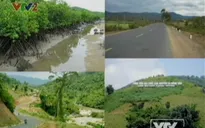 BTKT môn Địa: Địa lý dân cư