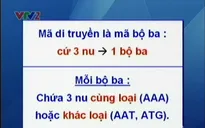 BTKT môn Sinh học: Bài tập về mã di truyền