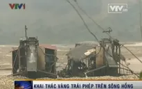 Khai thác vàng trái phép trên sông Hồng: Chính quyền "bật đèn xanh"?