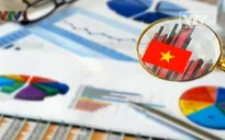 2020, Việt Nam có 30 triệu người trung lưu và giàu