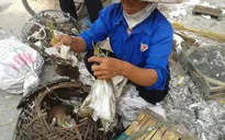 Đồng Tháp: Săn bắt chim, cò kiểu tận diệt