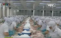 Dự báo xuất khẩu nông thủy sản 2014