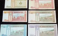 Các loại tiền in hình ngựa hút khách