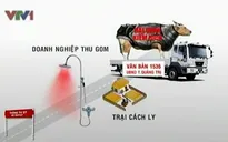 Những văn bản "kỳ quặc" mở rộng cửa cho bò lậu