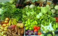 Thừa Thiên Huế: Giá rau xanh giảm mạnh sau Tết