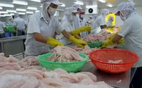Mỹ lại tăng thuế đối với cá da trơn nhập khẩu từ Việt Nam