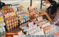 Trứng gia cầm đang bị làm giá