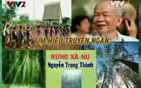 BTKT môn Văn: Tìm hiểu truyện ngắn Rừng xà nu