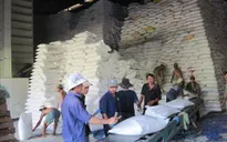 Xuất khẩu gạo: Kỳ vọng vào gạo thơm