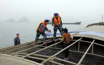 Cảnh sát biển bắt giữ 2 tàu vận chuyển 2.300 tấn than trái phép