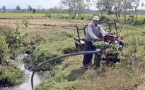 Các tỉnh miền Trung cần chủ động đối phó với tình trạng thiếu nước, khô hạn