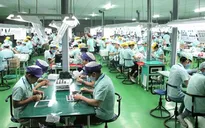 TP.HCM: Cần 25.000 việc làm trong tháng 5