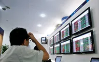 Lỗ 3 năm liên tiếp, nhiều mã chứng khoán phải rời HNX