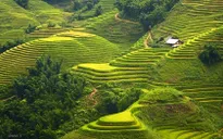 Tây Bắc qua các tác phẩm văn học được giảng dạy trong nhà trường