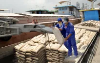 Tiêu thụ xi măng, thép đều tăng