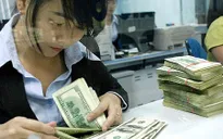Sức ép lên tỷ giá vẫn còn nhưng không đáng lo ngại
