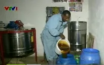 Ethiopia khuyến khích nông dân tăng cường nuôi ong