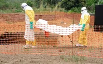 WHO: Dịch Ebola diễn biến nguy hiểm
