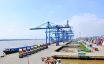Bộ GTVT làm việc với cảng Cát Lái giải quyết tình trạng hàng ùn ứ