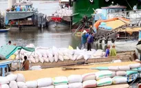 Thúc đẩy sản xuất, tiêu thụ nông sản ở Đồng bằng sông Cửu Long