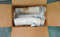 Bắt giữ 14,6kg ngà voi châu Phi vận chuyển trái phép
