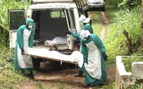 Thành lập Ban chỉ đạo phòng chống dịch Ebola