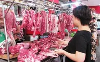 TP.HCM: Hơn 43% mẫu thịt lợn tồn dư kháng sinh vượt ngưỡng