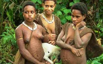 Một bộ tộc người Indonesia vẫn làm nhà trên cây