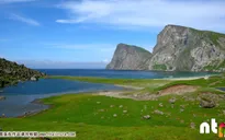 Thiên nhiên xanh trên quần đảo Lofoten, Na Uy