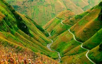 Những con đèo "huyền thoại" của dân "phượt" ở Việt Nam