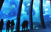 Những điểm thú vị ở thành phố cảng Yokohama