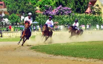 Đầu năm, lên cao nguyên Bắc Hà khám phá đua ngựa