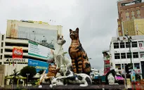 Sức hấp dẫn của "thành phố mèo" Kuching, Malaysia