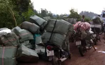 TP.HCM: Bắt vụ buôn lậu thuốc lá quy mô lớn