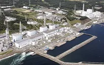 LHQ công bố nhận định mới về sự cố hạt nhân Fukushima