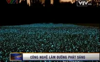 VIDEO: Con đường tự phát sáng trong đêm