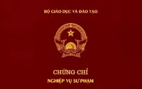 Tạm dừng cấp chứng chỉ nghiệp vụ sư phạm