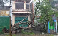 Quảng Ninh: Mưa bão gây mất điện trên diện rộng