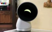 Dự án robot gia đình đầu tiên trên thế giới