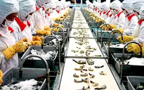 Năm 2014: Xuất khẩu tôm có thể vượt 3,5 tỷ USD
