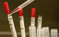 Cổ phiếu của các công ty sản xuất thuốc chữa Ebola tăng mạnh