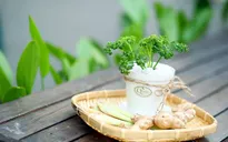 Cây cảnh gia vị: Ngon miệng, đẹp mắt