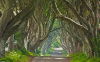Ngắm bối cảnh đẹp mê hồn của phim truyền hình ăn khách Game of Thrones