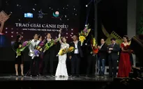 Cánh diều vàng 2013: "Thần tượng" và "Thuyền giấy" vút bay