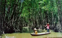 Sống khác: Rời giảng đường về Đất Mũi mò cua bắt ốc (18h30, VTV6)