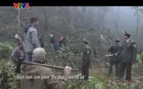Khi đàn chim trở về 3: Phim chính luận mới trên VTV