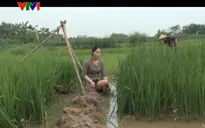 Nỗi đau giấu kín – Phim ngắn mới về đề tài chiến tranh lên sóng VTV