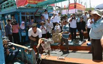 Chính sách mới hỗ trợ ngư dân bám biển - Bước ngoặt lớn cho hàng triệu ngư dân Việt